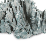 Coral Art Piece