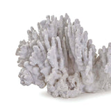Coral Art Piece
