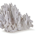 Coral Art Piece