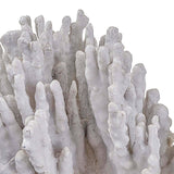 Coral Art Piece