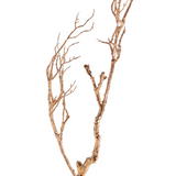 Gilded Branch 35"