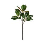 Artificial magnolia leaf branch on a white background