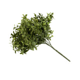 UV Boxwood 12" Stem - Set of 12
