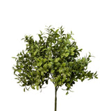 UV Boxwood 12" Stem - Set of 12