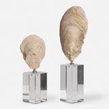 Oyster Shell Sculptures, Set of 2