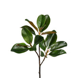 24" Magnolia Leaf Branch - Set of 12