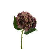20" Antique Burgundy Real Touch Hydrangea - Set of 12