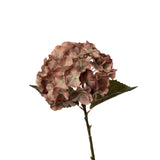 20" Gold Honey Real Touch Hydrangea - Set of 12