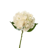 20" Ivory Real Touch Hydrangea - Set of 12