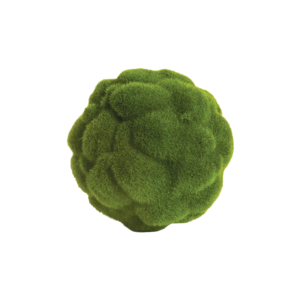 Green textured ball on a white background