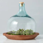 Large Demijohn Cloche covering wood bowl