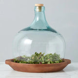 Large Demijohn Cloche covering wood bowl