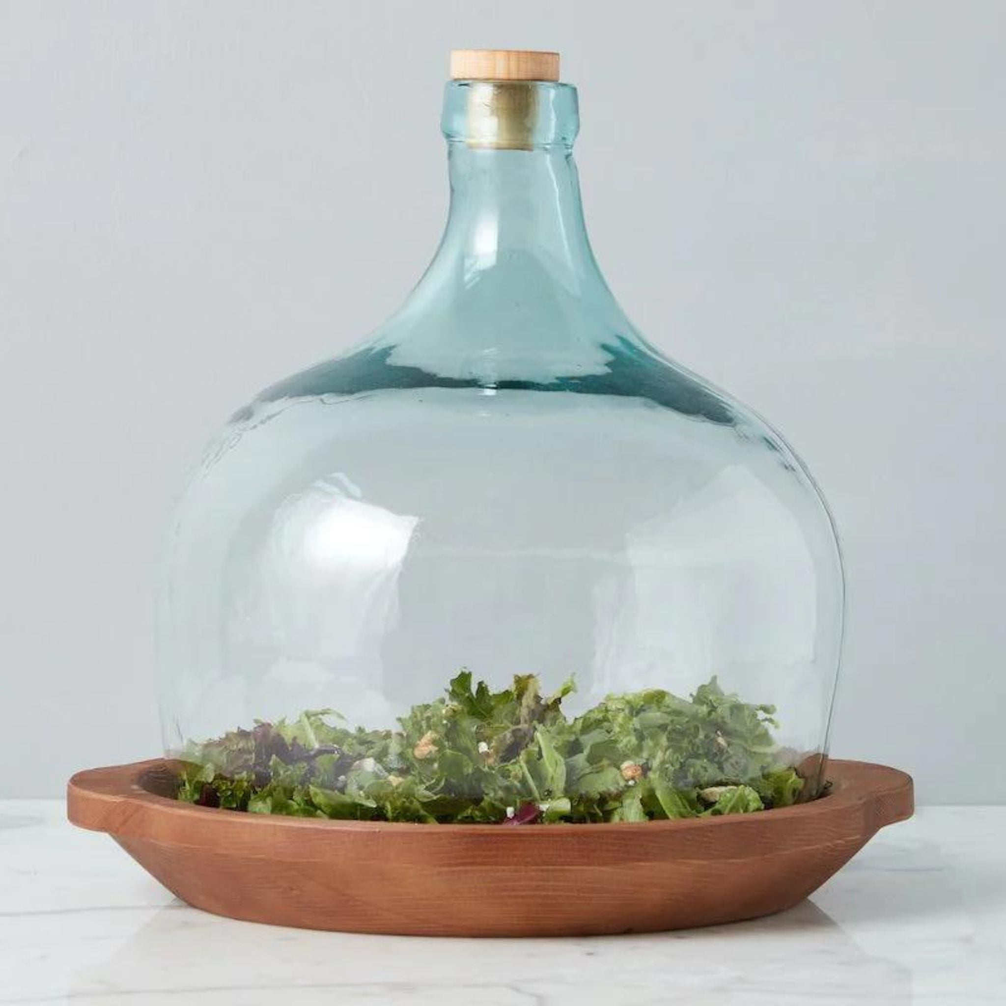 Large Demijohn Cloche covering wood bowl