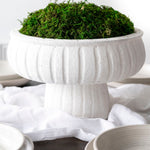 White Aegean Pedestal bowl with moss on table with white wall behind