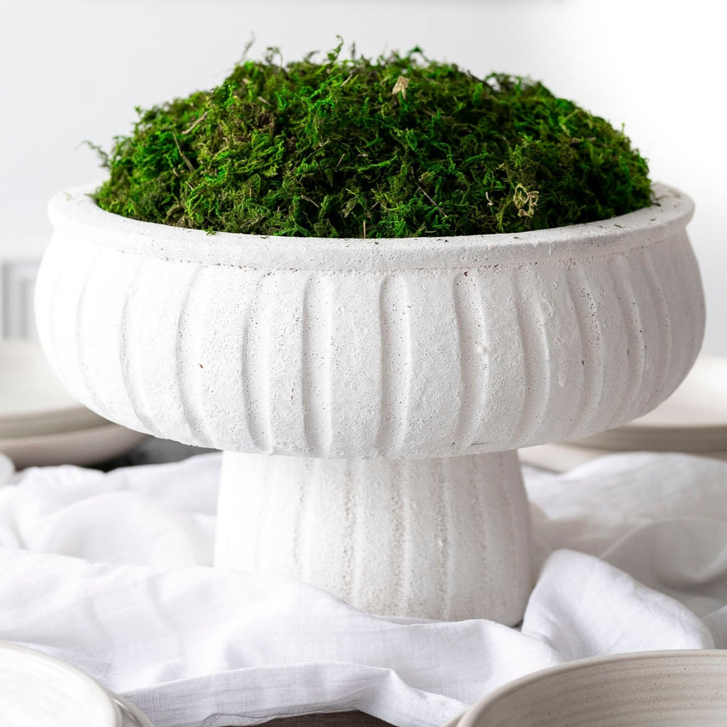 White Aegean Pedestal bowl filled with moss decor